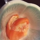 해송일식 이미지