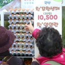 황금알계란
