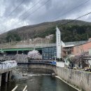 푸라닭 강원사북점 이미지