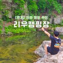 청화농장 | 대전 근교 계곡 경북 문경 리우캠핑장 여름 캠핑 추천