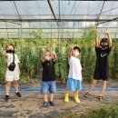 상이농장 이미지