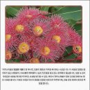 좋은치과의원 | 치과 공포증 극복 후기좋은하루치과의원