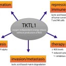 Re:81 Rationale, Feasibility and Acceptability of Ketogenic Diet for Cancer Treatment - 2017년 review 한국논문 이미지