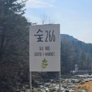 266 | 서울 근교 애견 동반 바비큐장 추천 남양주 "숲266" 가족 나들이 후기