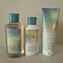 안성스타약국 | 스타필드 안성점 배스앤바디웍스 방문기｜2025 홀리데이 느낌 가득한 분위기와 향