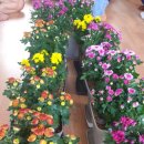 (주)아이들팜 이미지