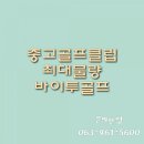 바이투골프 이미지