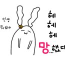 다울아이 이미지