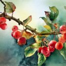 힐링 수채화 이미지