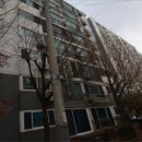 렉슬빌라 | 일원 강남데시앙포레 vs 도곡현대아파트, 학군 실거주 고민이라면