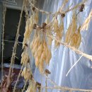 구포중학교 이미지