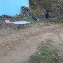 산림조합화장실 이미지