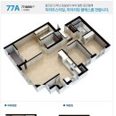 일동미라주 이미지