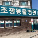 조광동물병원 이미지