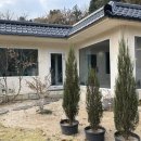 서른시