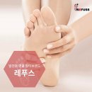 레푸스 동탄호수점