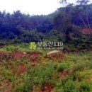 외리농장 이미지