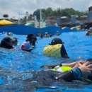 아우내생고기 이미지