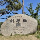 회룡마을회관 | 예천 회룡포 당일치기 후기 🌿