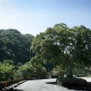 용추자연휴양림야영장 이미지