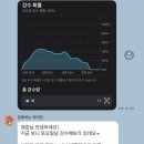 진흥행