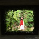 포렛 | 정읍 카페 제이포렛 대형 정원 추천