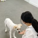 그루멍 이미지