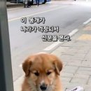 그럴수도 있겠다의 한표 이미지