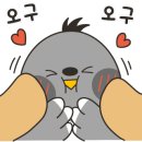 성산아쿠아비치호텔 이미지