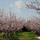 장수남원추어탕 이미지