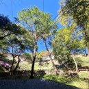 마하사 대웅전 석조석가여래삼존상 이미지