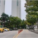 원앙태권도 이미지