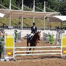 영천시운주산승마조련센터 이미지