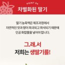 주식회사 에브리틱 | [맘스홀릭지후맘]국산생딸기 찹쌀맵쌀 카스텔라 단백질 프로떡 무료체험단 모집