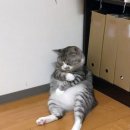 대한산업보건협회 경기북부의원 이미지