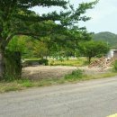 금오도공인중개사사무소 이미지