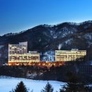 한화리조트/평창 티스토리