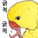 바르미샤브샤브&칼국수 이미지