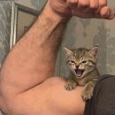 몸짱휘트니스헬스 이미지