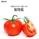 토마토 - 부평구 주부토로22번길 10-1 | 토마토
