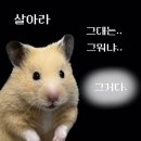 경주숲 1,2 | [포항-경주 여행 후기] 1박2일 예산 총정리