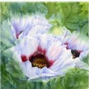 수채화 일러스트 이미지