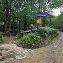 안일사앞 이미지