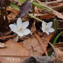 바람꽃공원 이미지