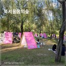 구슬숲공원 주변 녹지 | 북서울꿈의숲 돗자리 아기랑 키즈 카페 주차 요금 먹거리