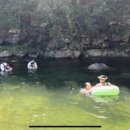 옥룡 포석정 이미지