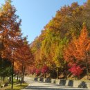 문성자연휴양림 이미지