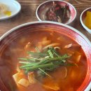 팬더돌짜장