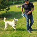 박순호의 아이슬란드 이미지