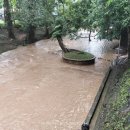 태국골프 그린월드 소식지 이미지